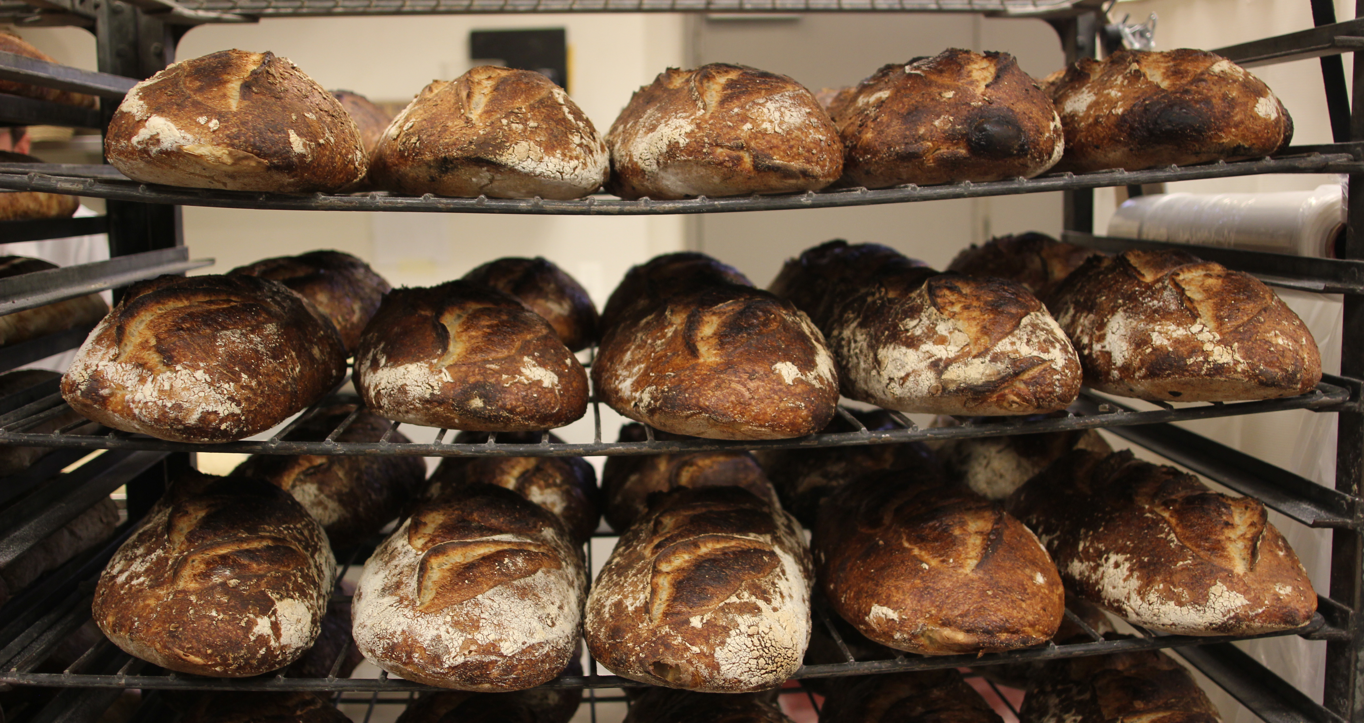 KNOW YOUR BREAD, WITH PUBLICAN QUALITY BREAD BAKER GREG WADE