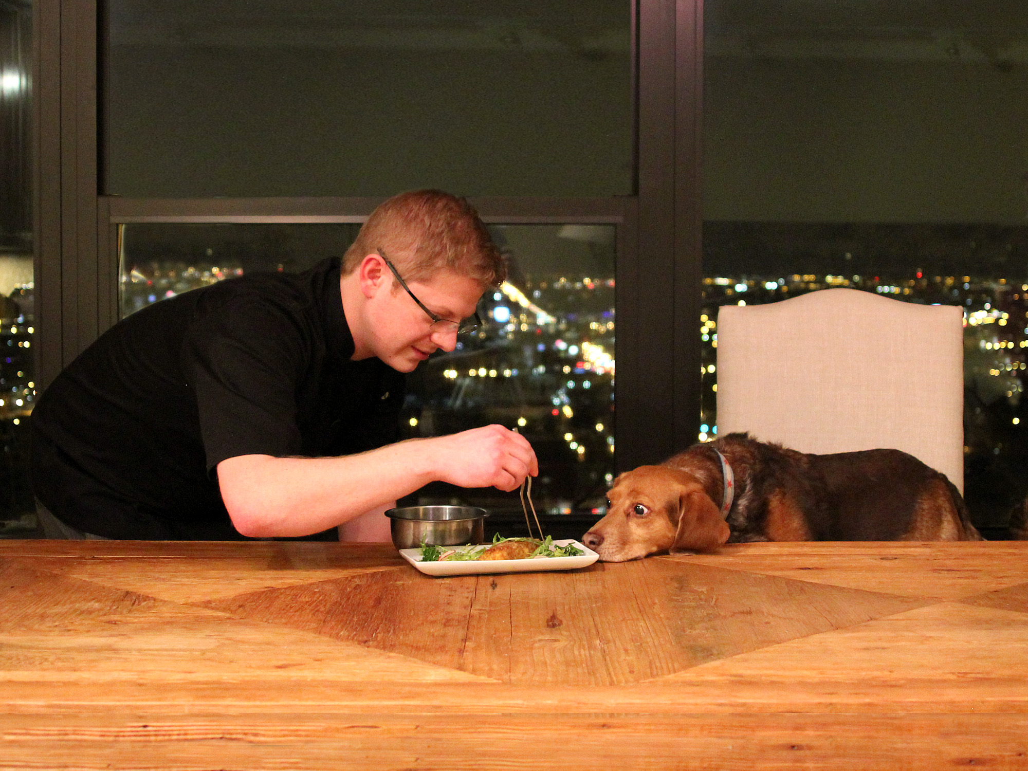 IS YOUR DOG GETTING ENOUGH THREE STAR MICHELIN FOOD?