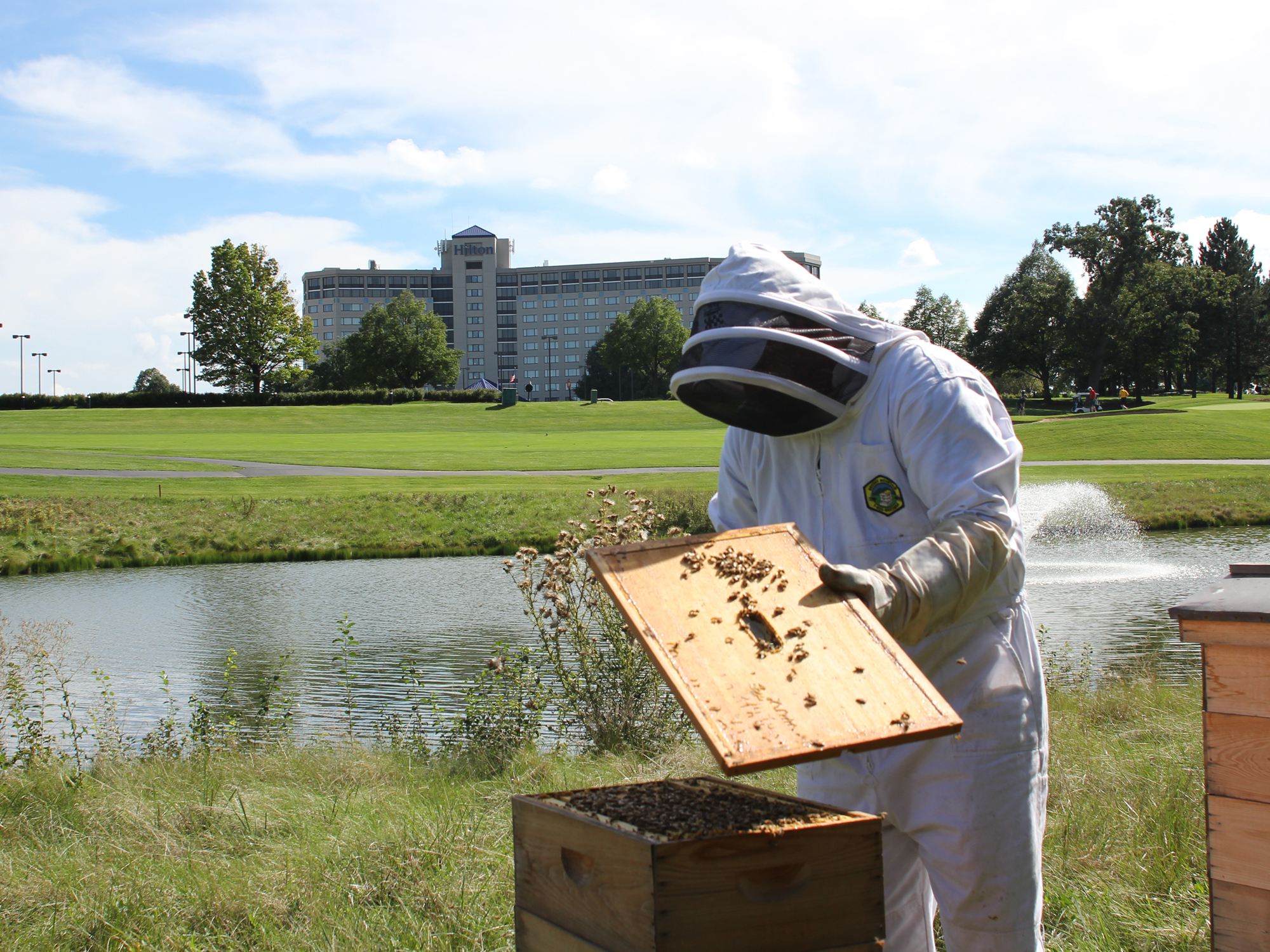 LOCAL AND SUSTAINABLE AT THE HOTEL OF BEES
